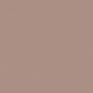 Керамогранит Estima Rainbow RW08 (60х60 см)